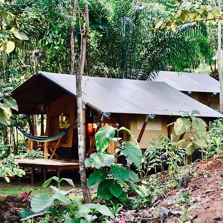 El Pulpo Safari Lodge オホチャル エクステリア 写真