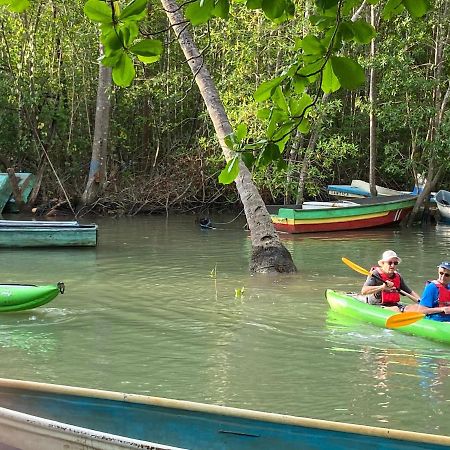 El Pulpo Safari Lodge オホチャル エクステリア 写真