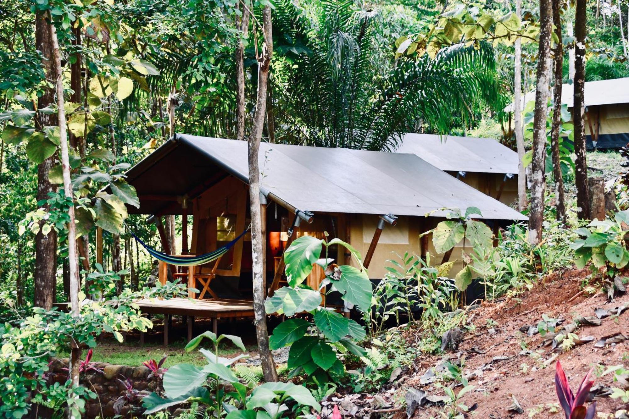 El Pulpo Safari Lodge オホチャル エクステリア 写真