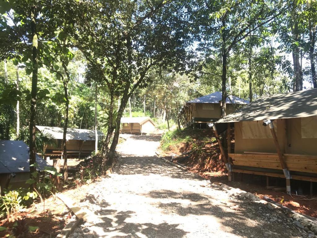 El Pulpo Safari Lodge オホチャル エクステリア 写真