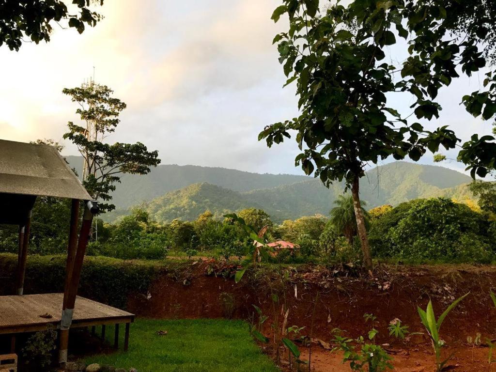 El Pulpo Safari Lodge オホチャル エクステリア 写真