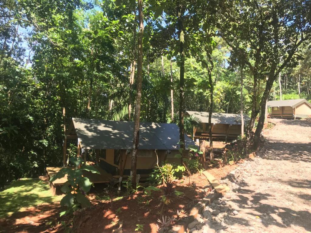 El Pulpo Safari Lodge オホチャル エクステリア 写真