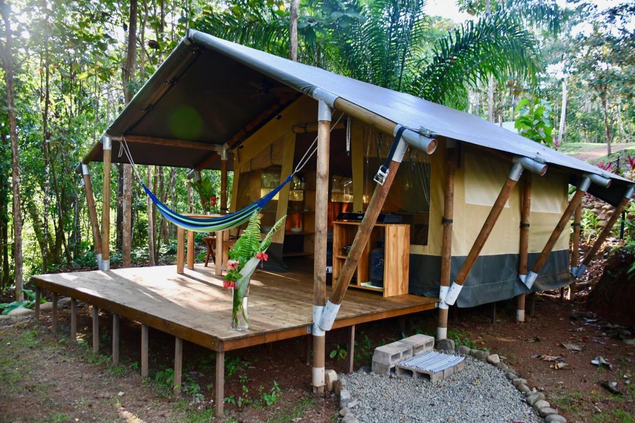 El Pulpo Safari Lodge オホチャル エクステリア 写真