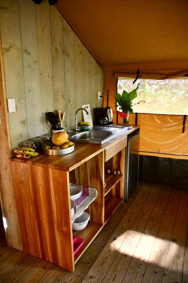 El Pulpo Safari Lodge オホチャル エクステリア 写真