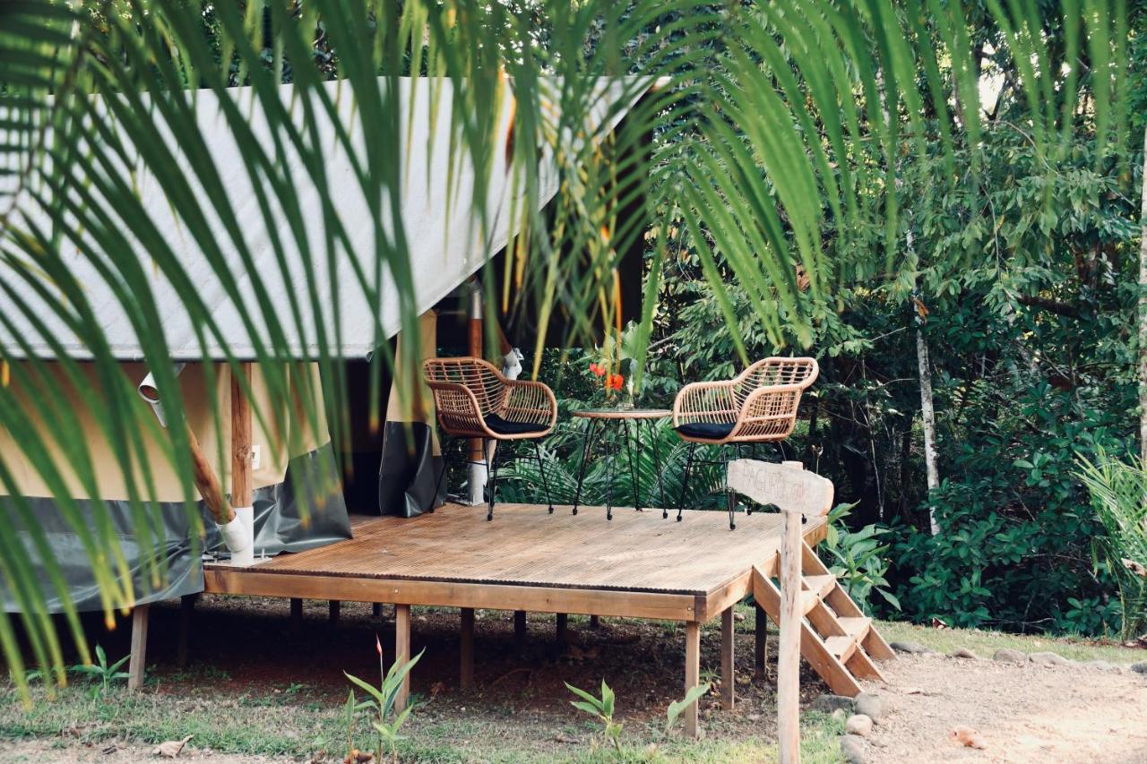 El Pulpo Safari Lodge オホチャル エクステリア 写真