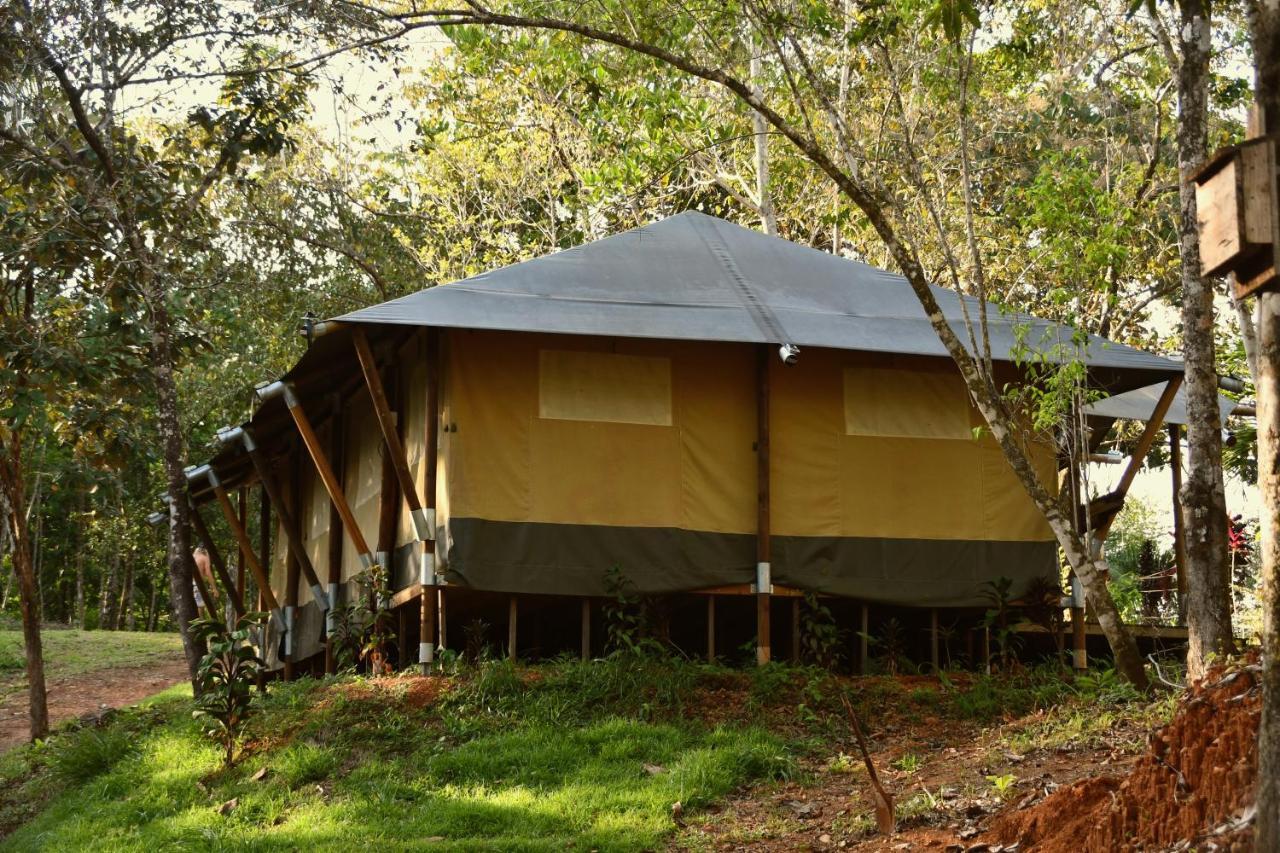 El Pulpo Safari Lodge オホチャル エクステリア 写真
