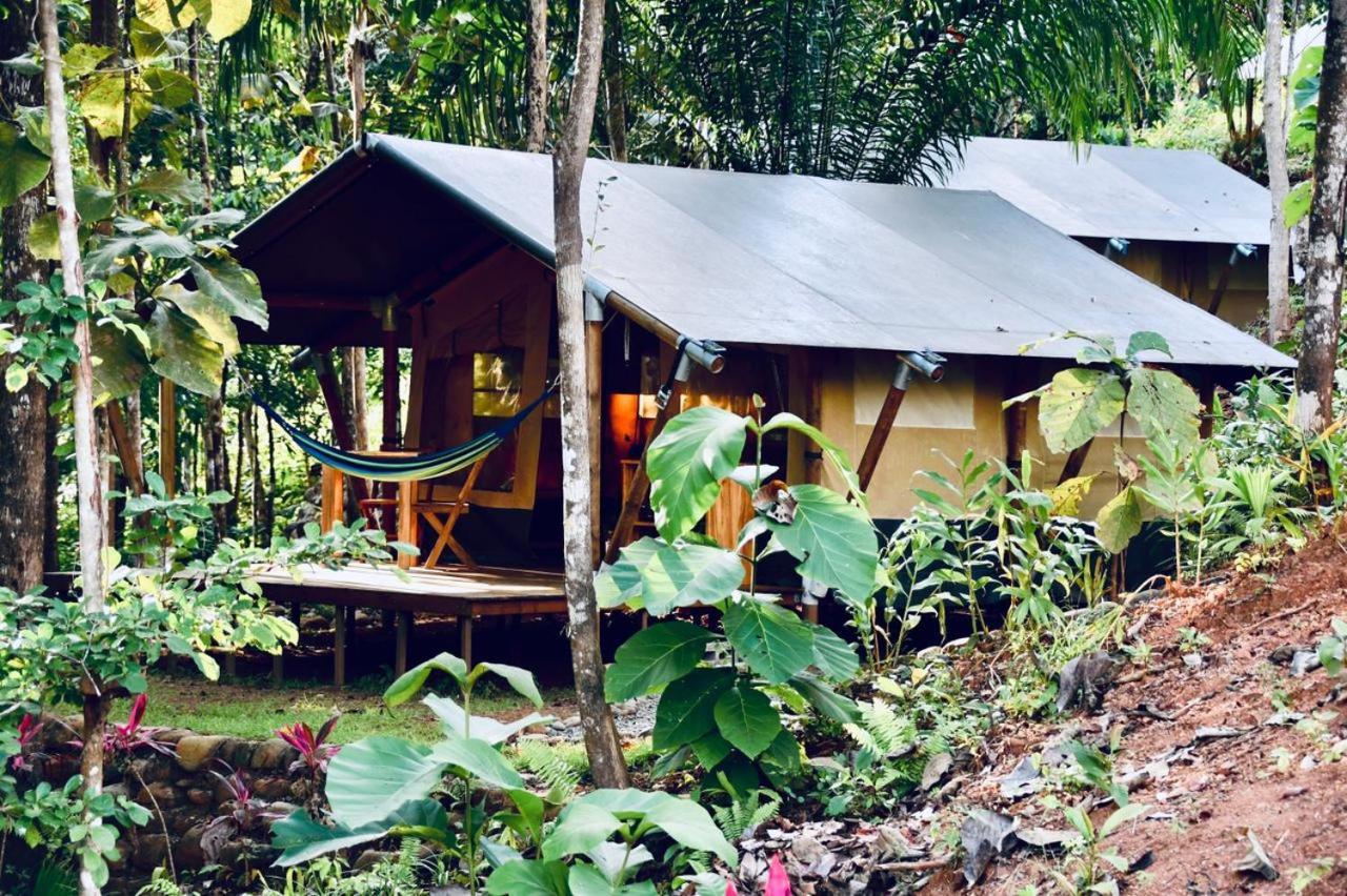 El Pulpo Safari Lodge オホチャル エクステリア 写真