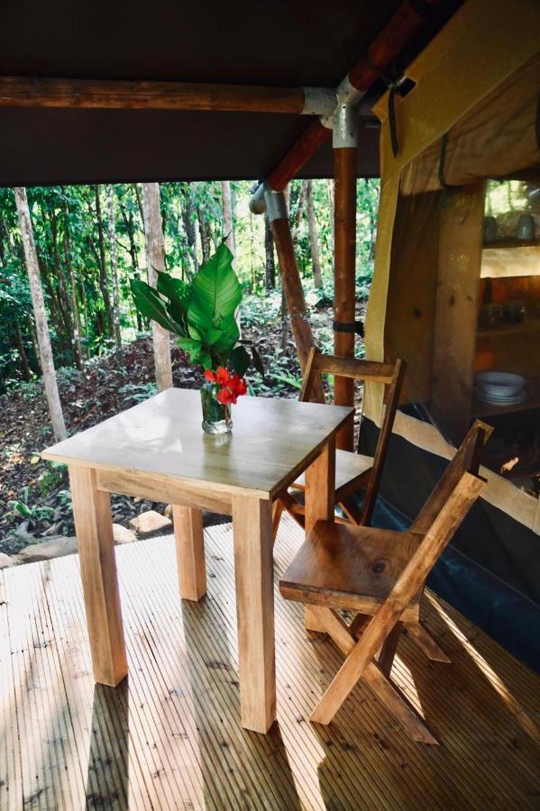 El Pulpo Safari Lodge オホチャル エクステリア 写真