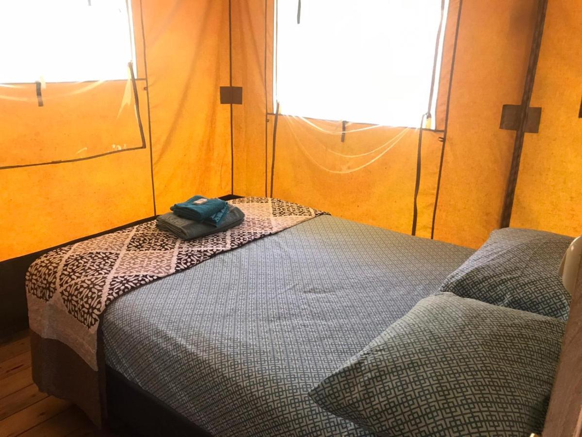 El Pulpo Safari Lodge オホチャル エクステリア 写真