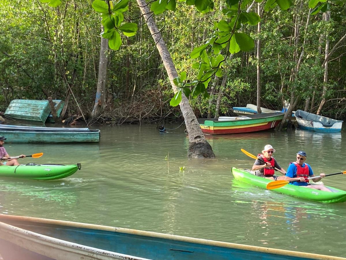 El Pulpo Safari Lodge オホチャル エクステリア 写真